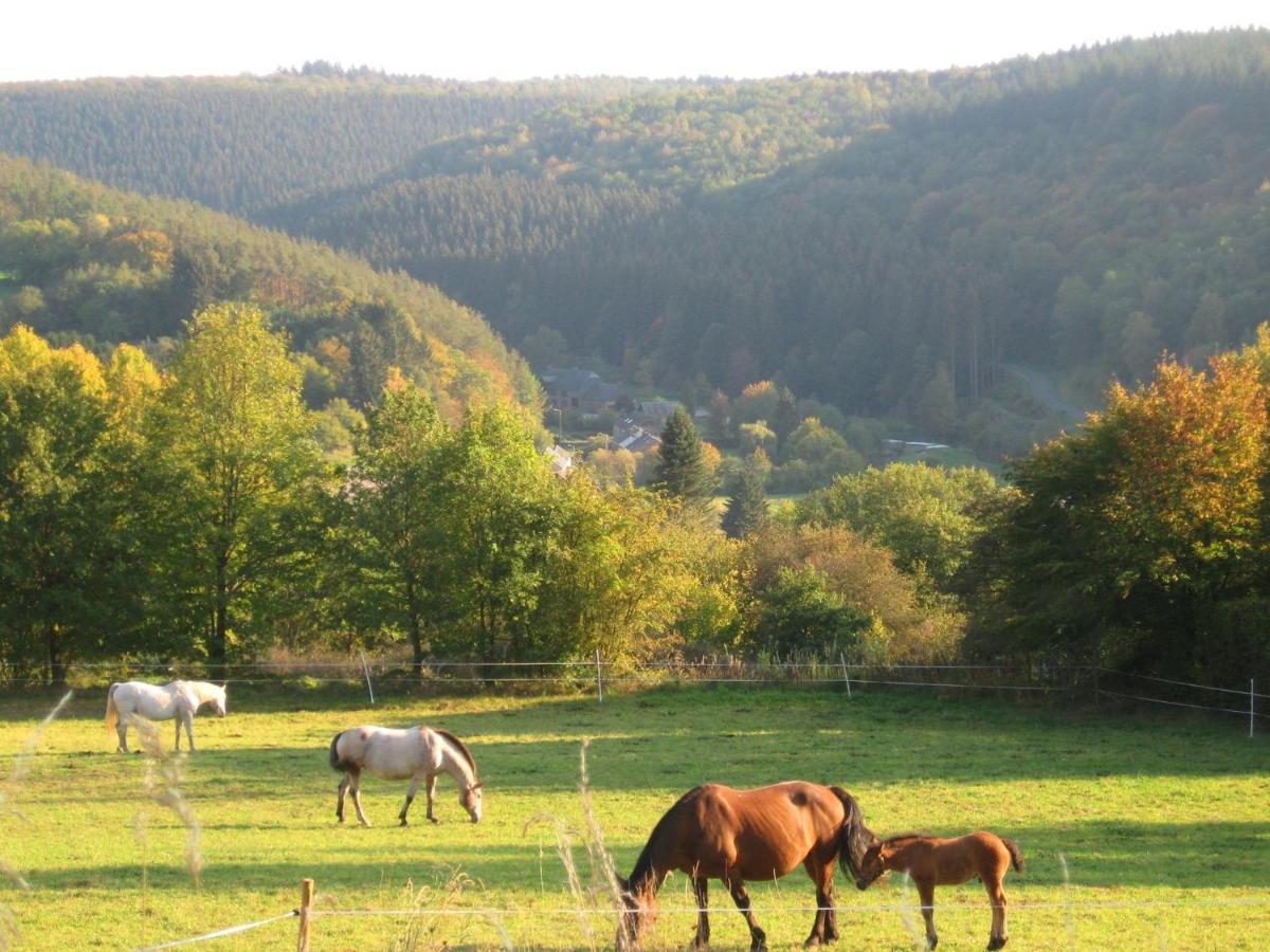 Pretty Cottage Ardennes Near The Valley Of Lesse Vencimont المظهر الخارجي الصورة